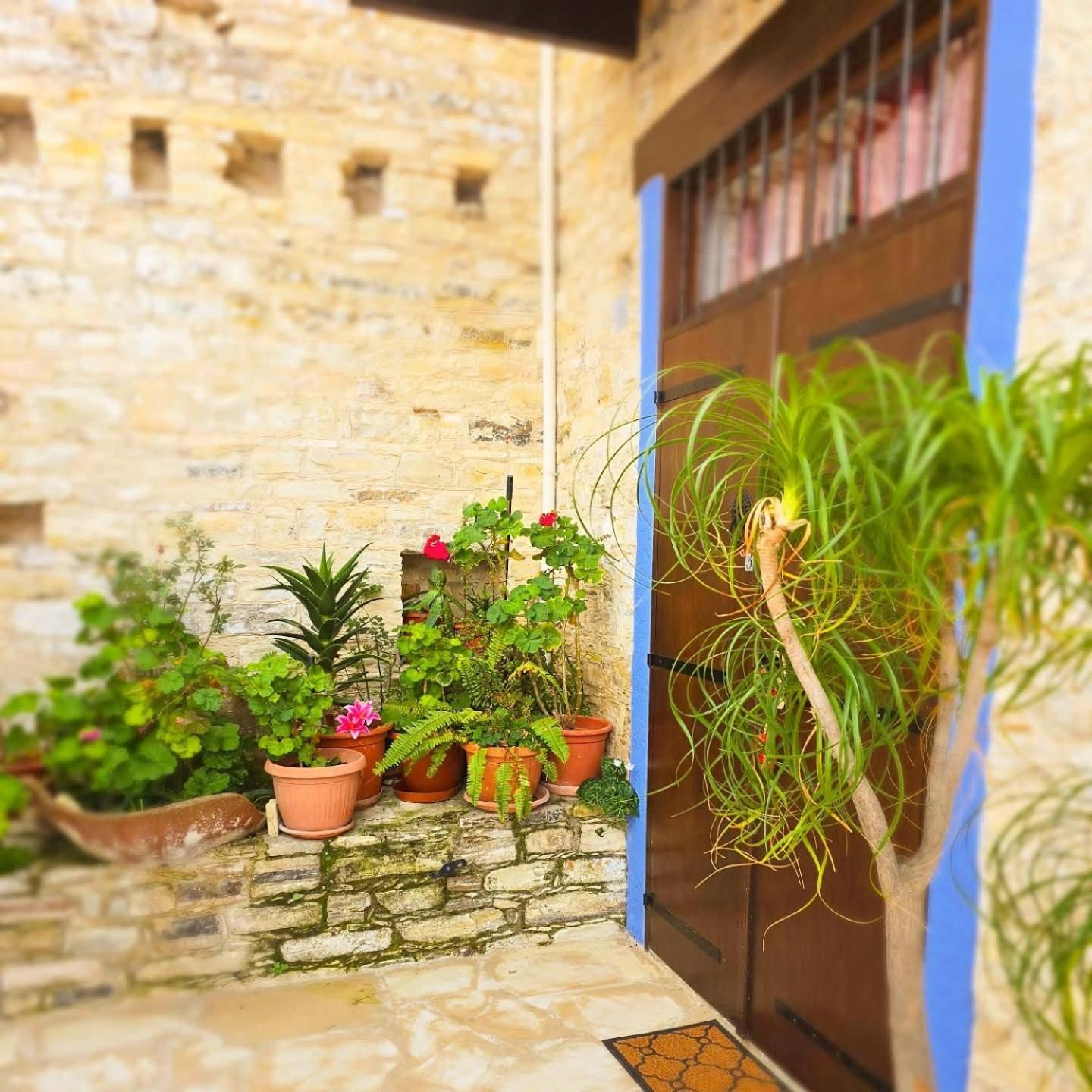Apartment Kozakos Luxury House *