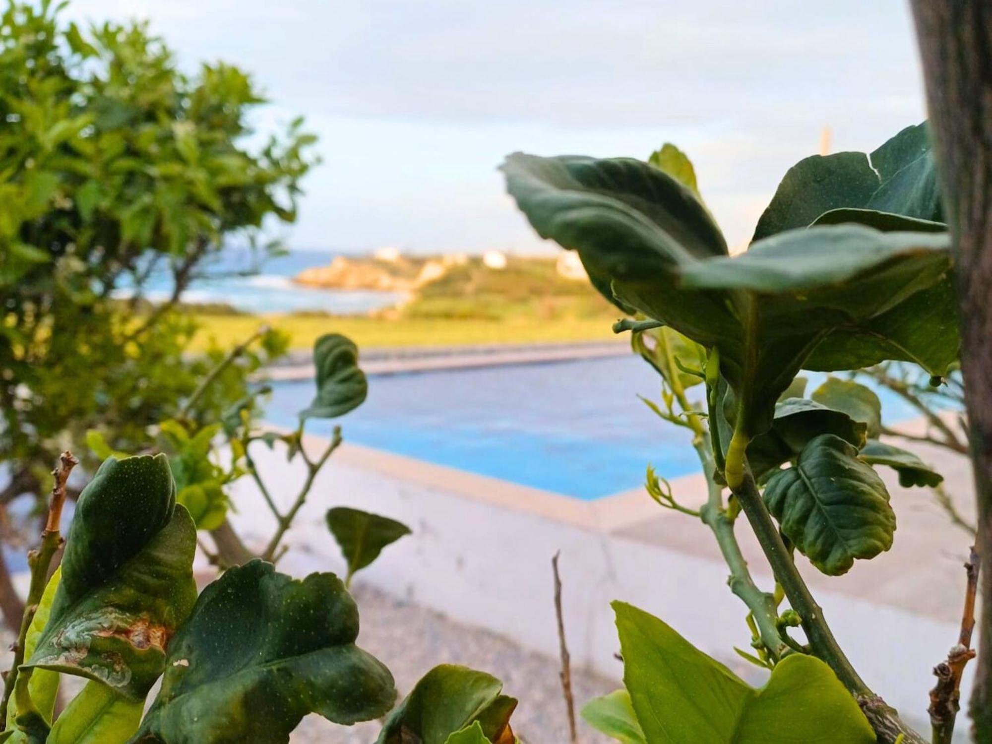 Luxurious With Breathtaking Seaview Villa Akanthou