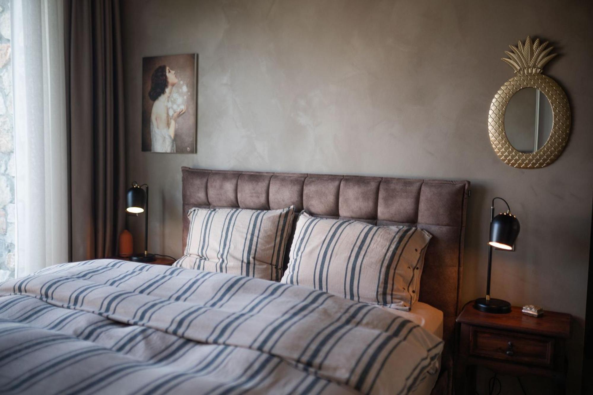 Modern And Cozy Designer In Relaxing Environment