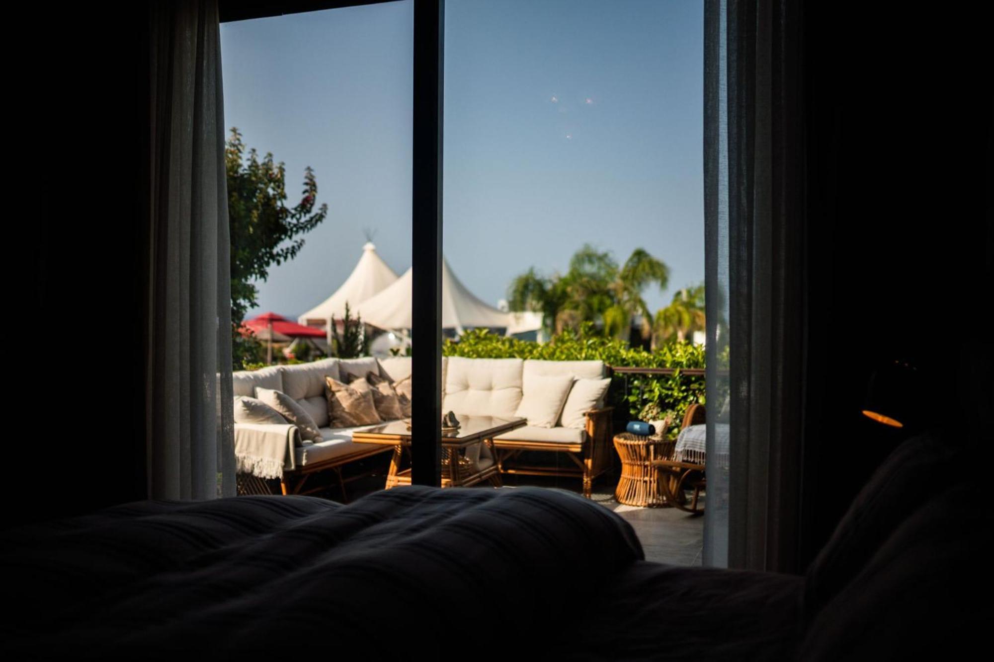 Modern And Cozy Designer In Relaxing Environment *