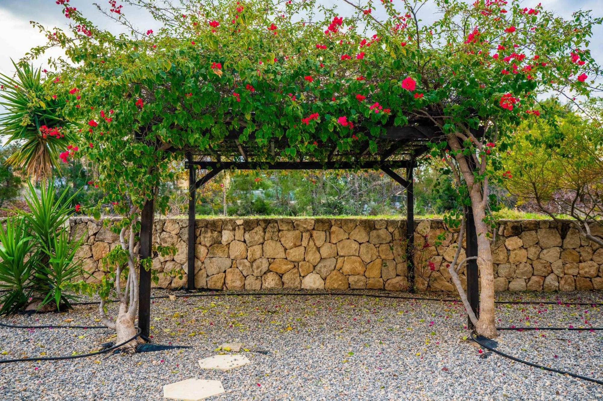 Welcoming 3-bedroom With Ocean Views Agios Georgios (Girne)
