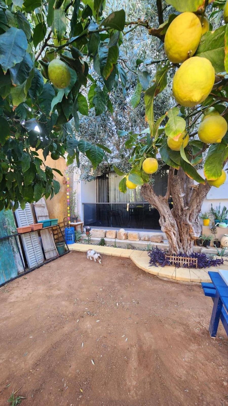 Apartment Kirkor Famagusta (Northern Cyprus)
