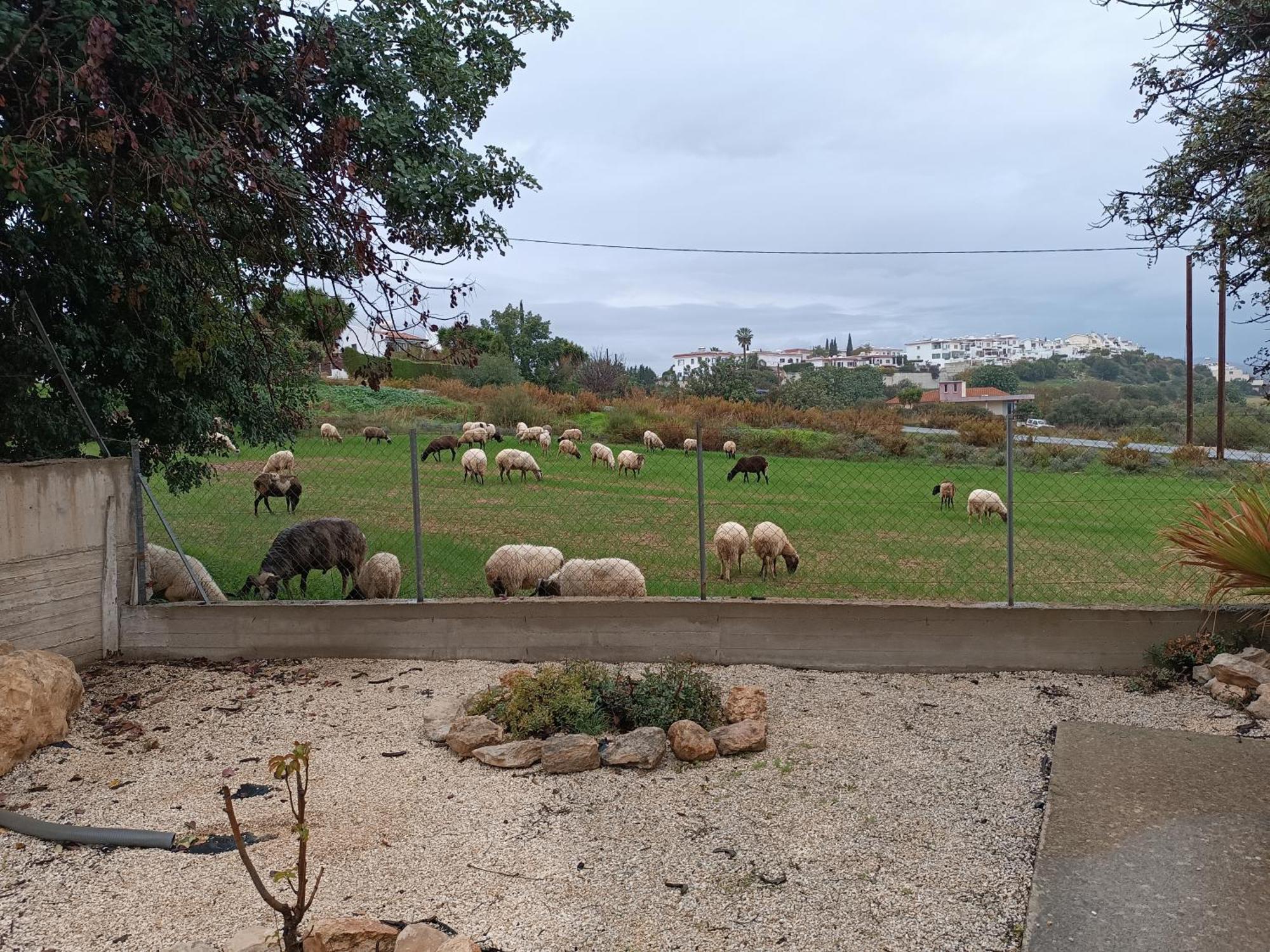 Kapsalia Villa Pissouri