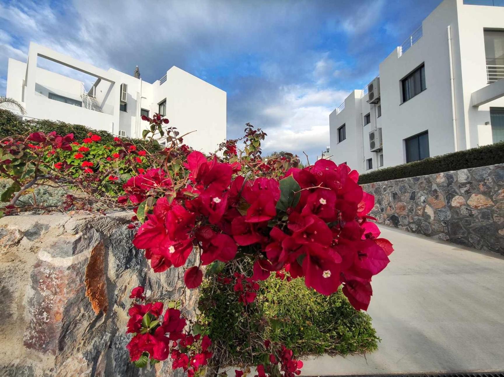 Sun Valley & Residency * Agios Georgios (Girne)