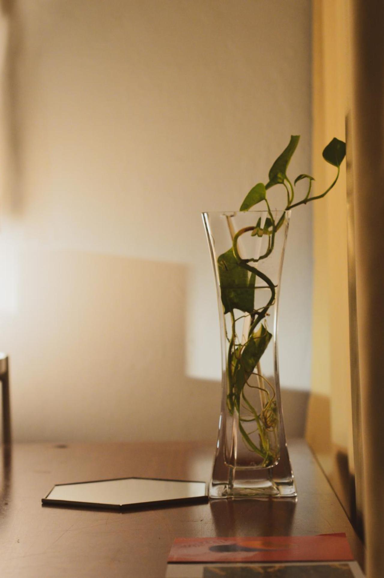 Hostel Lima Sol House *
