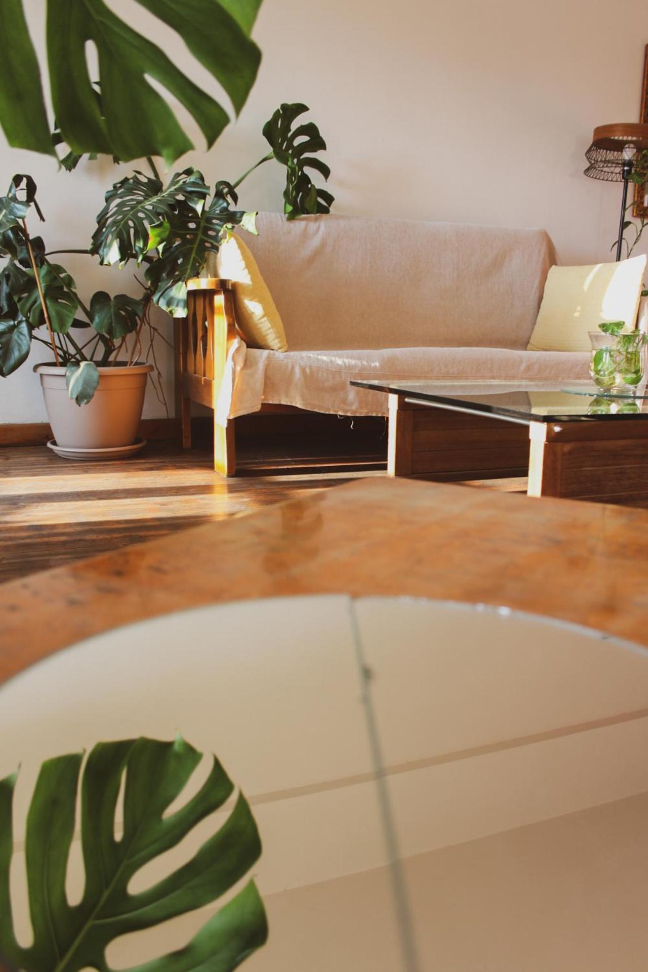 Lima Sol House Hostel Limassol