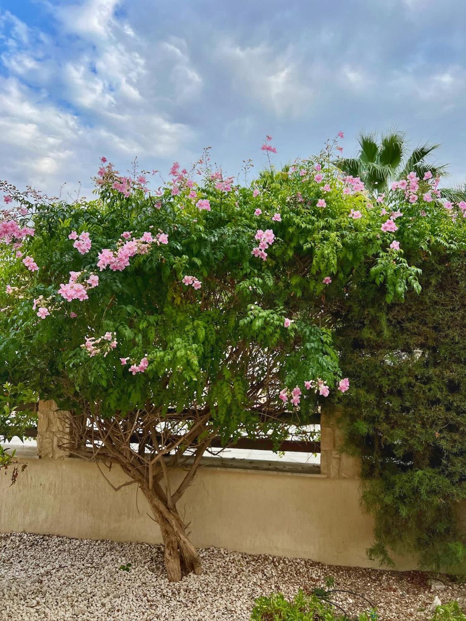 Seaview Mia Holiday home
