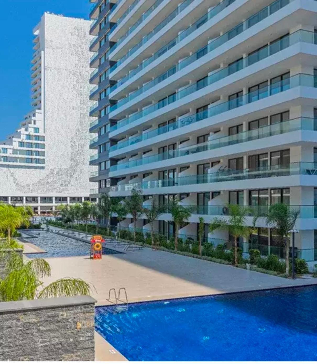 Grand Sapphire Holliday * Trikomo