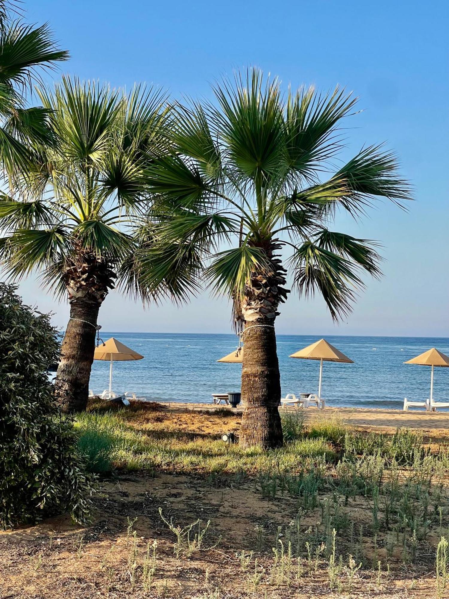 Olive By The Sea Apartment *