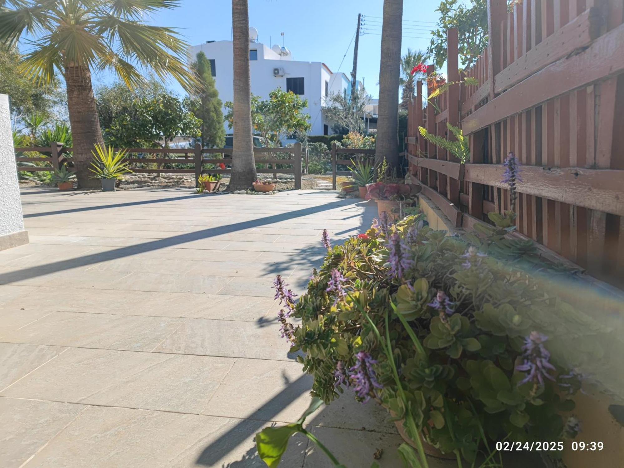 Palm Garden Paradise Pervolia