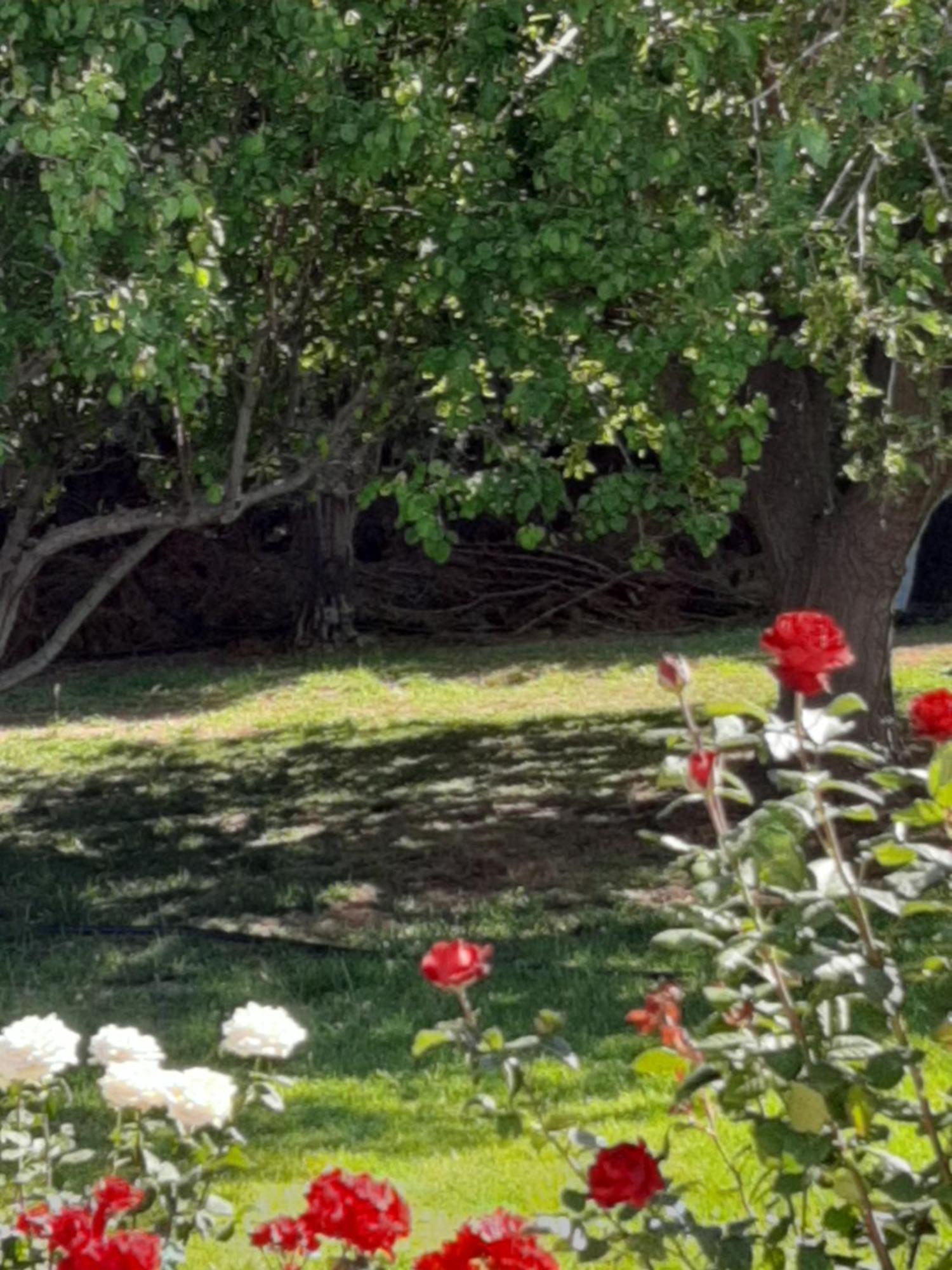 Secret Garden Villa Paphos