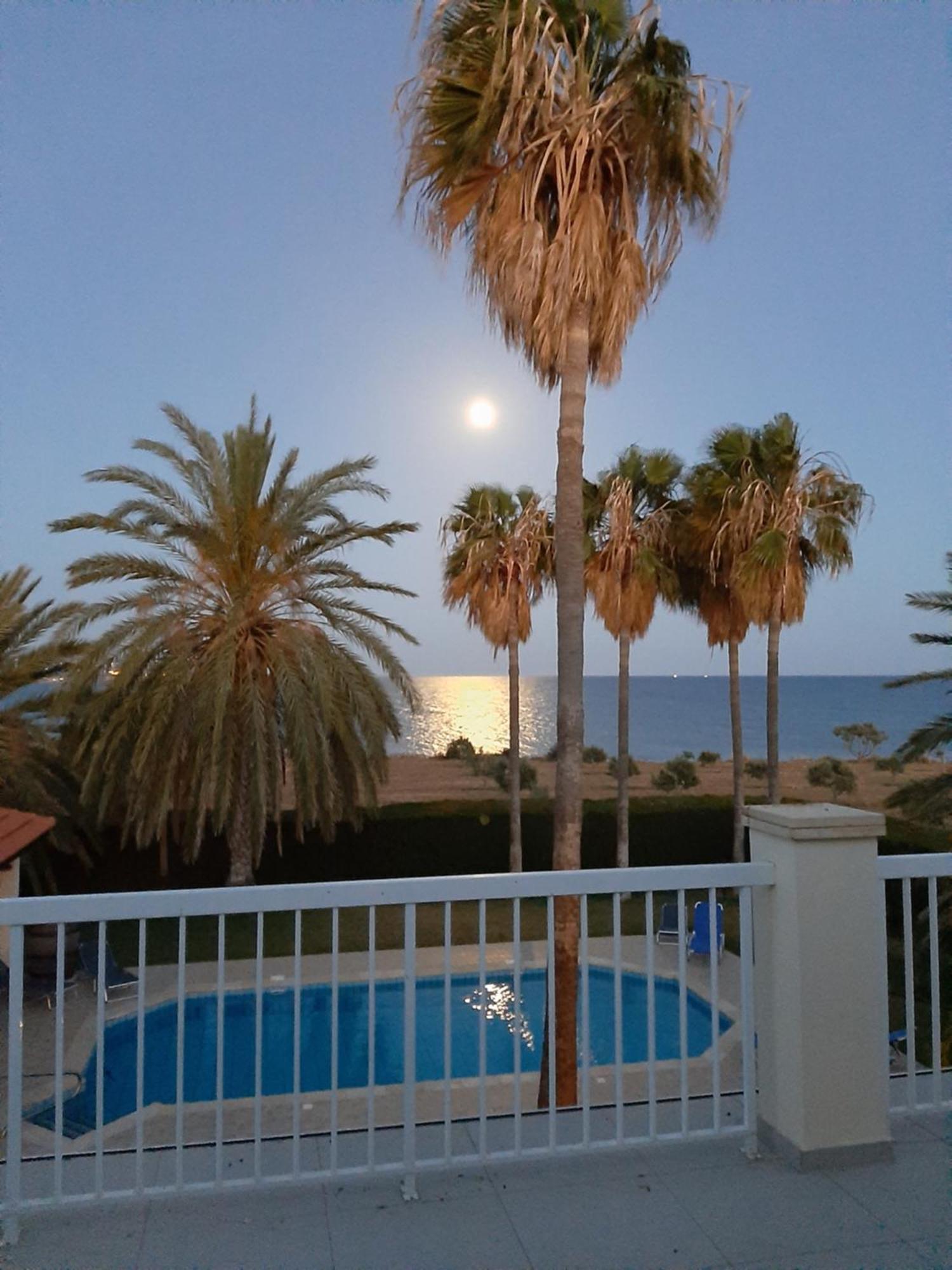Secret Garden * Paphos