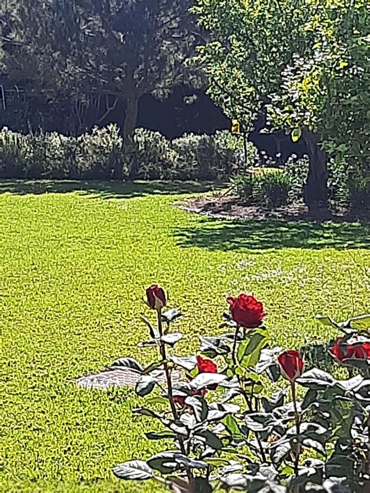 Secret Garden Villa Paphos
