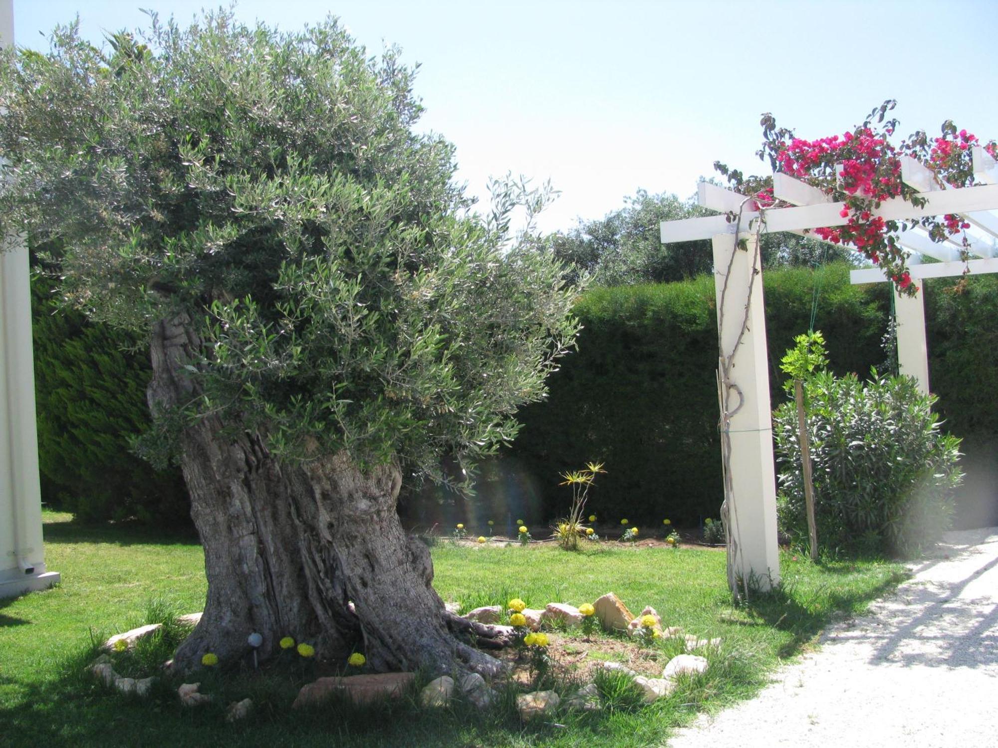 Secret Garden