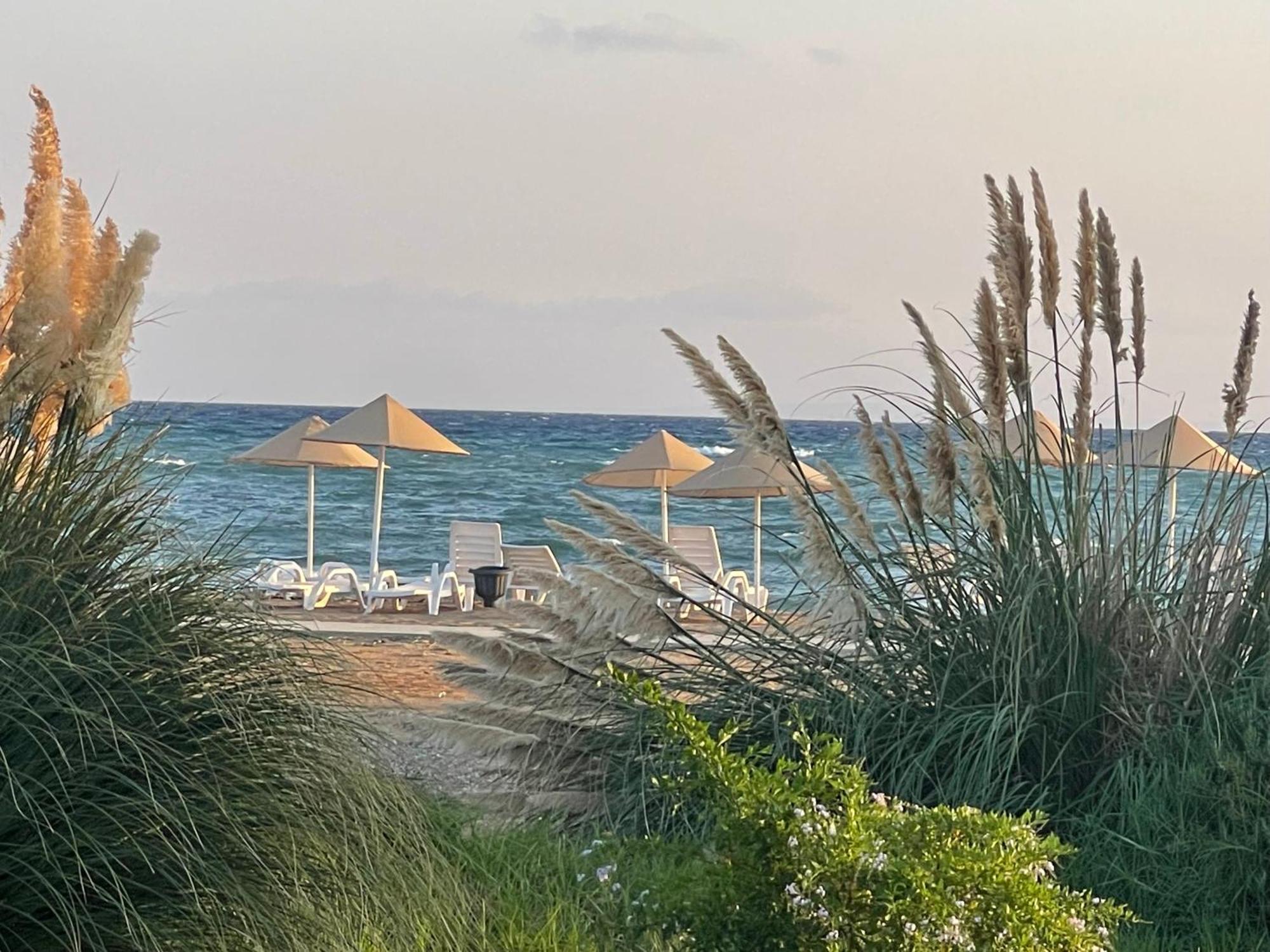 Tranquil By The Sea *