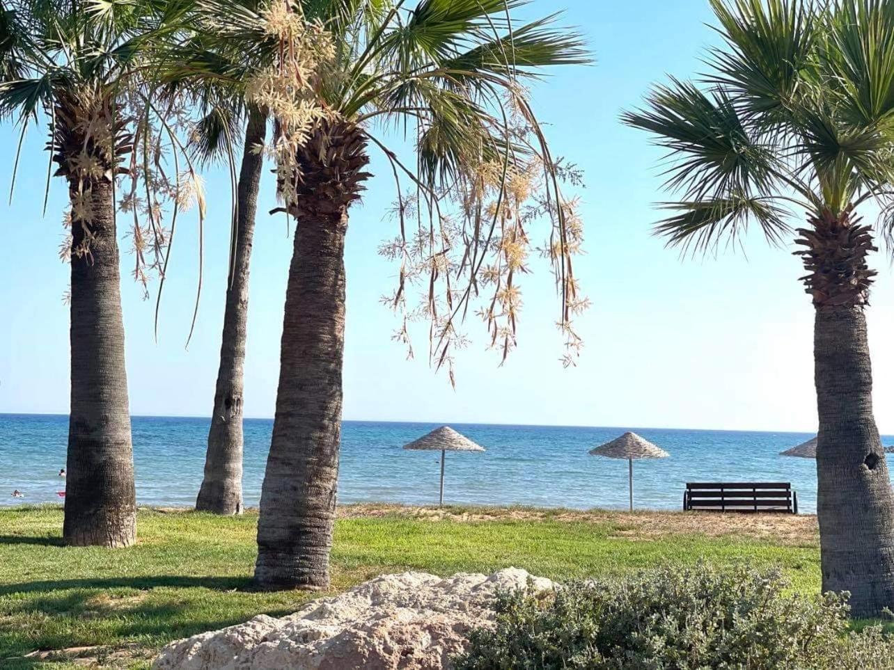 Olive By The Sea * Vokolidha