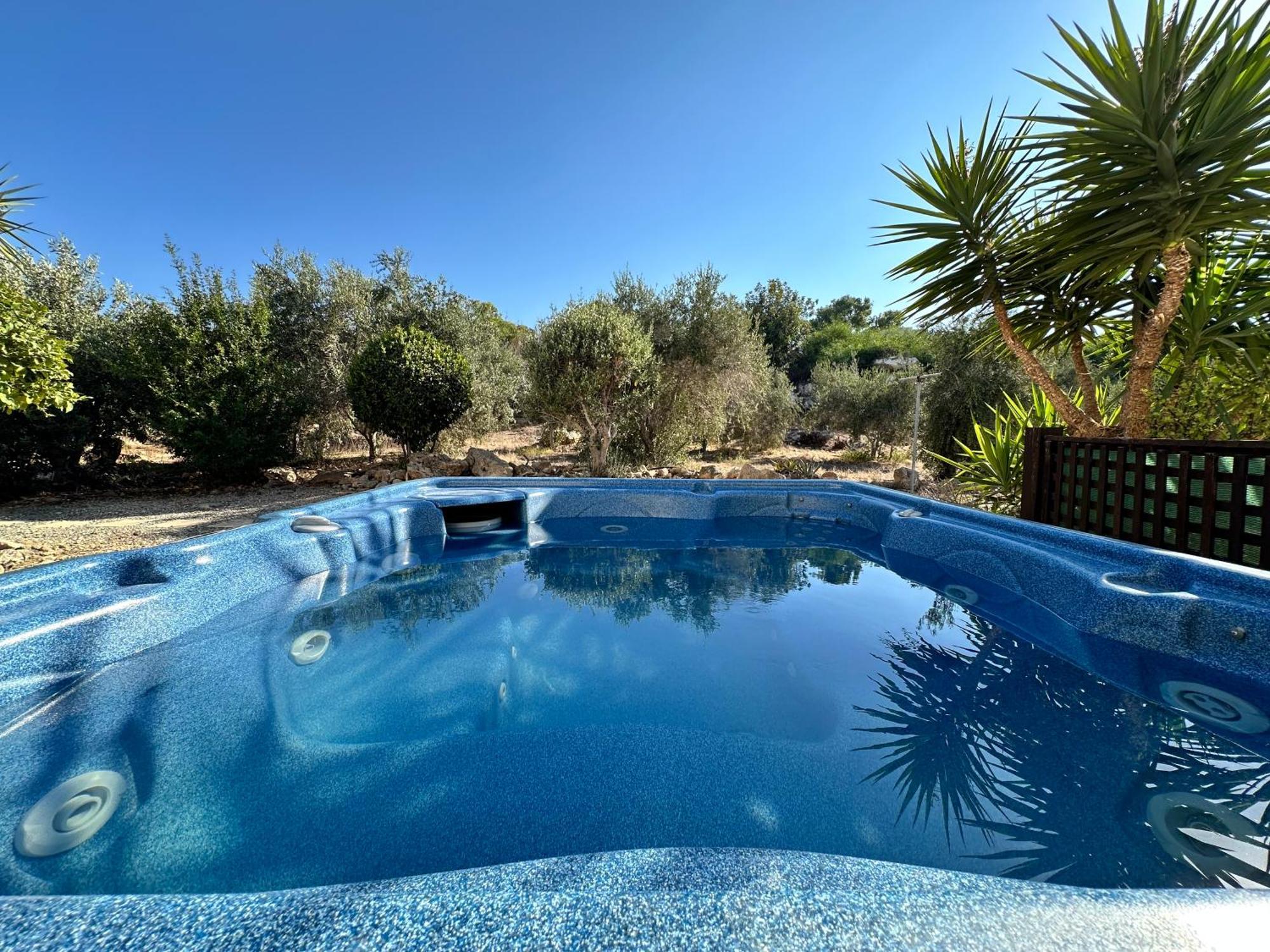 Seaturtle House Paralimni