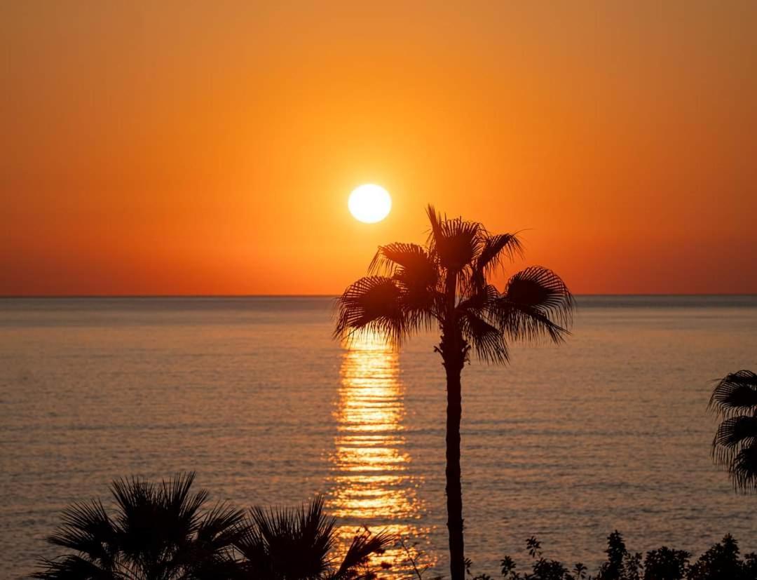 Holiday: Seafront Retreat With Pool In Paphos *