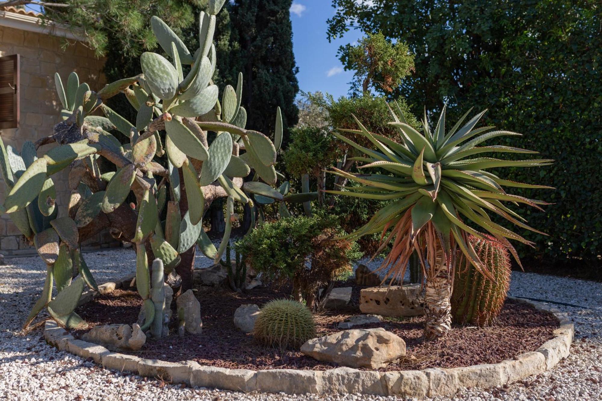 Villa Anassa Kouklia