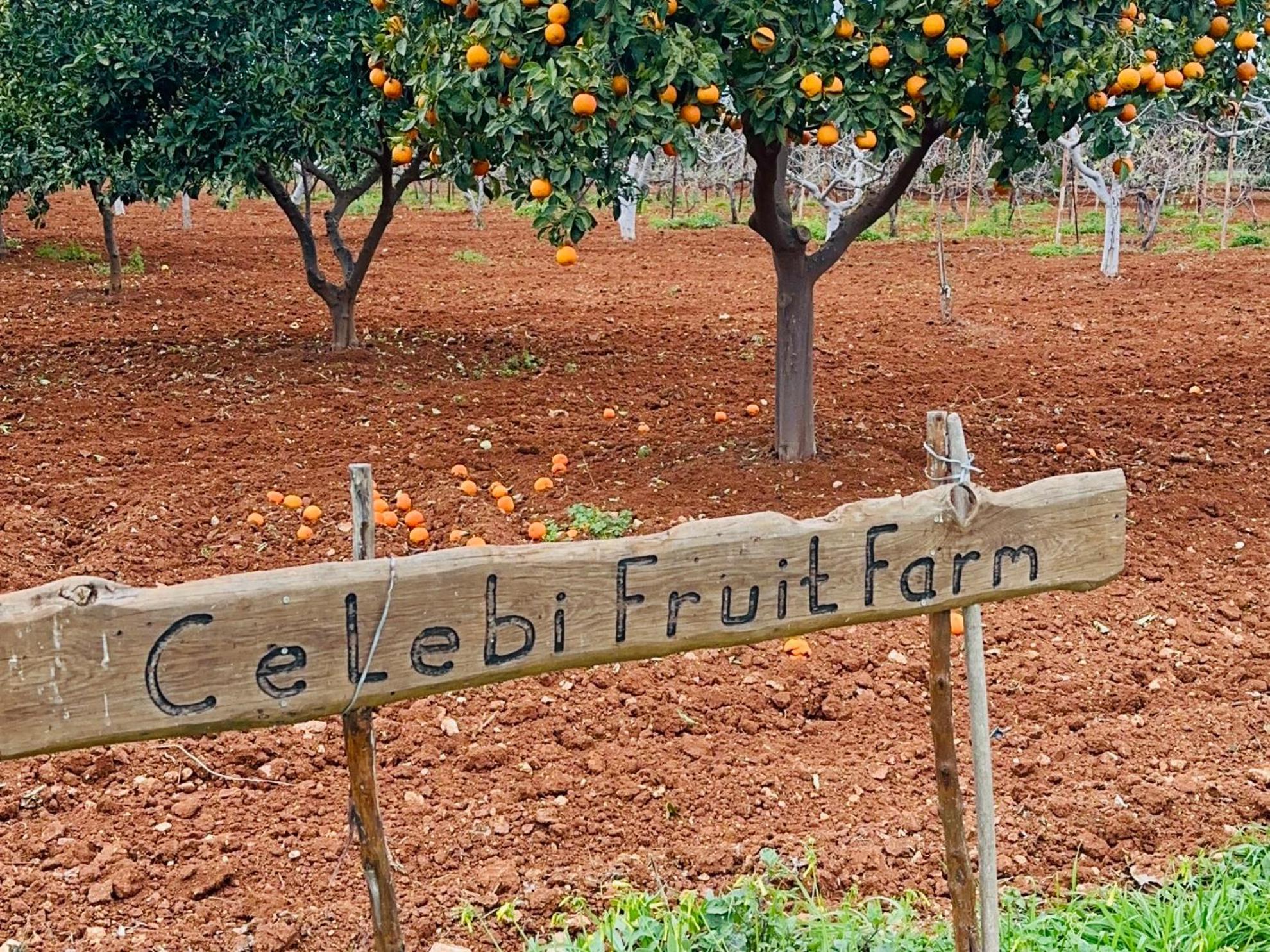 Celebi Garden - Cittaslow Retreat Resort Famagusta (Northern Cyprus)