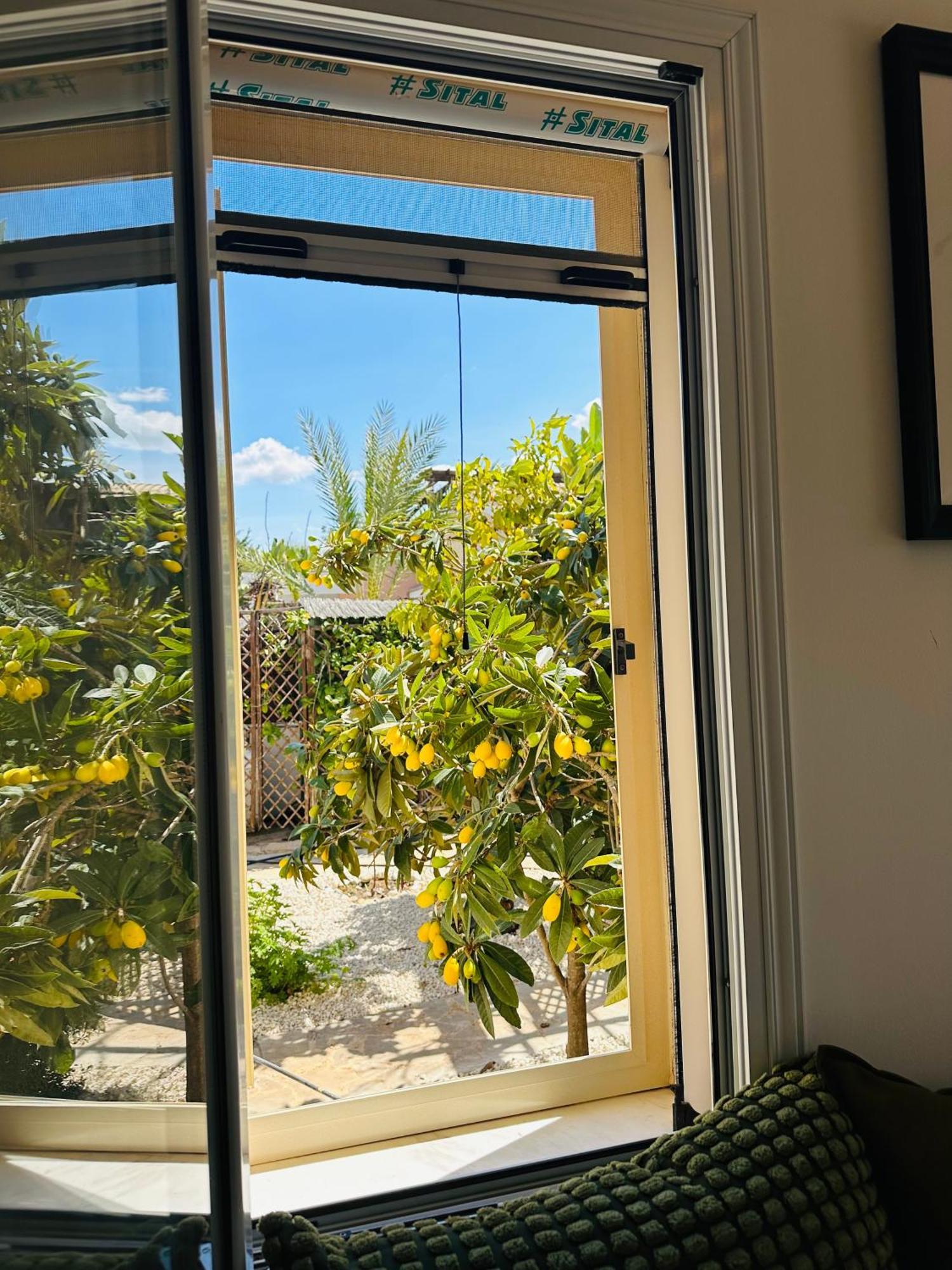 Apartment Strelitzia