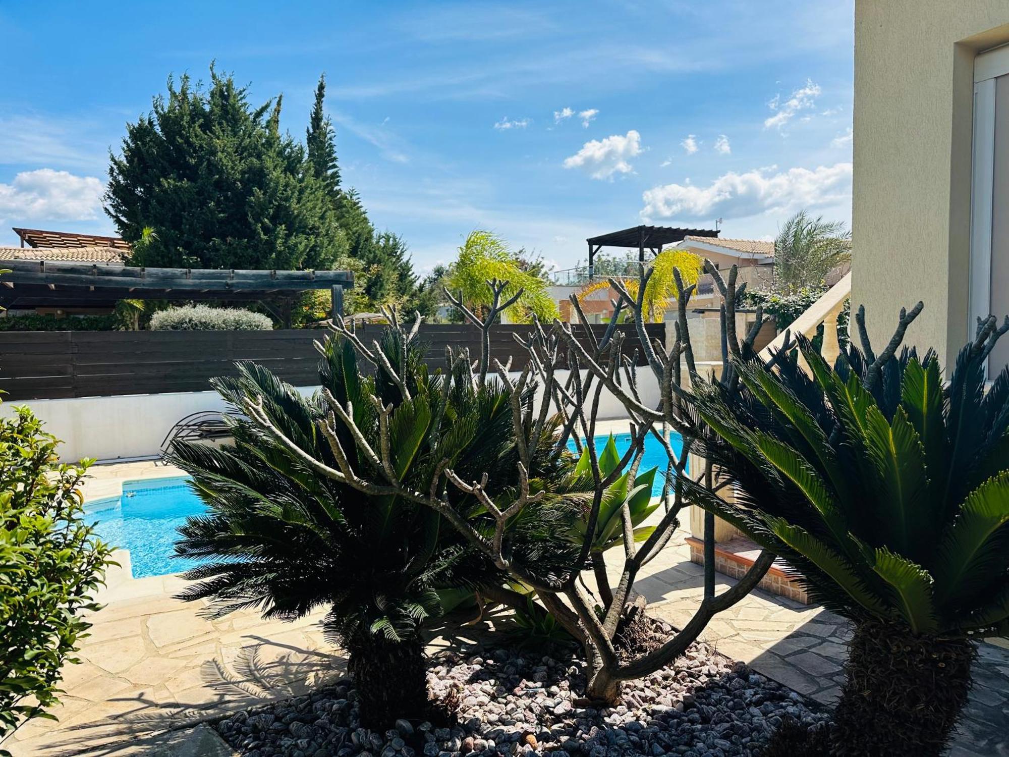 Strelitzia Apartment Lachi