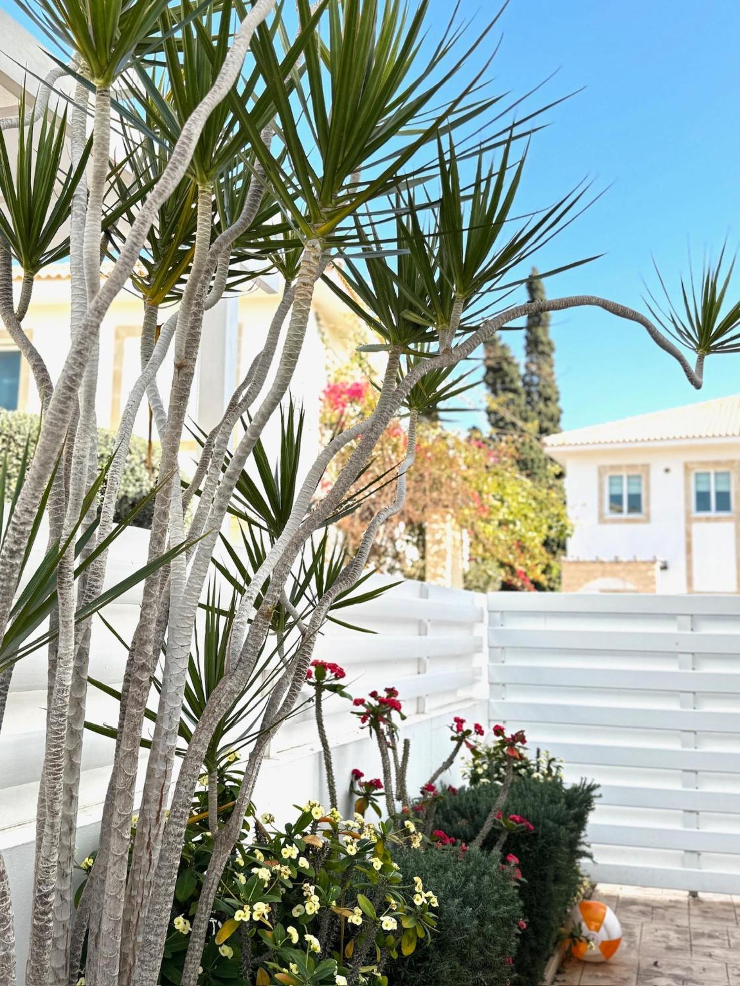 Wealthystays Hephaestus Villa, Ayia Triada Villa Paralimni