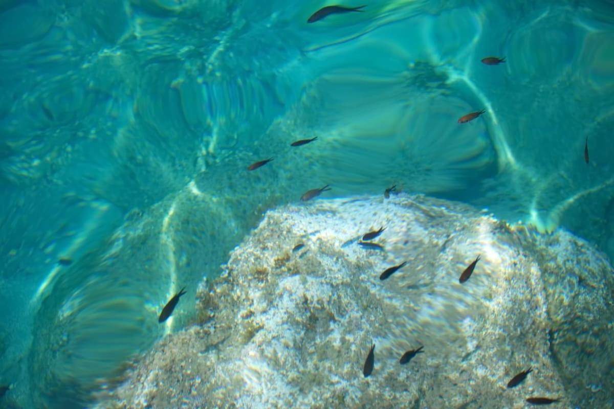 Seaview Luxury Jacuzzi & Pool! 2 Min *