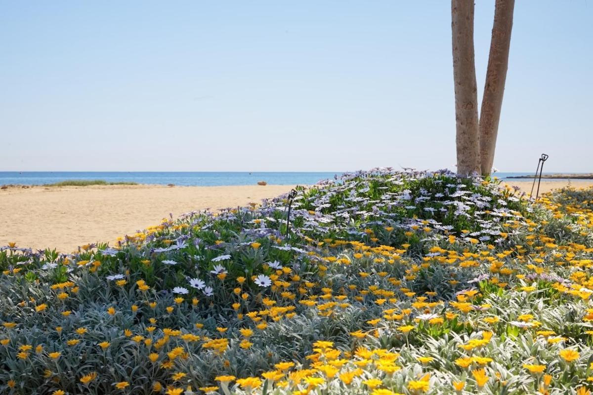 Seaview Luxury Jacuzzi & Pool! 2 Min * Protaras