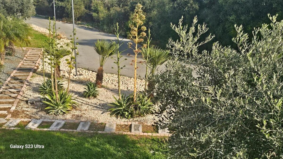 Beachfront Luxury Idania Pousada Agia Napa