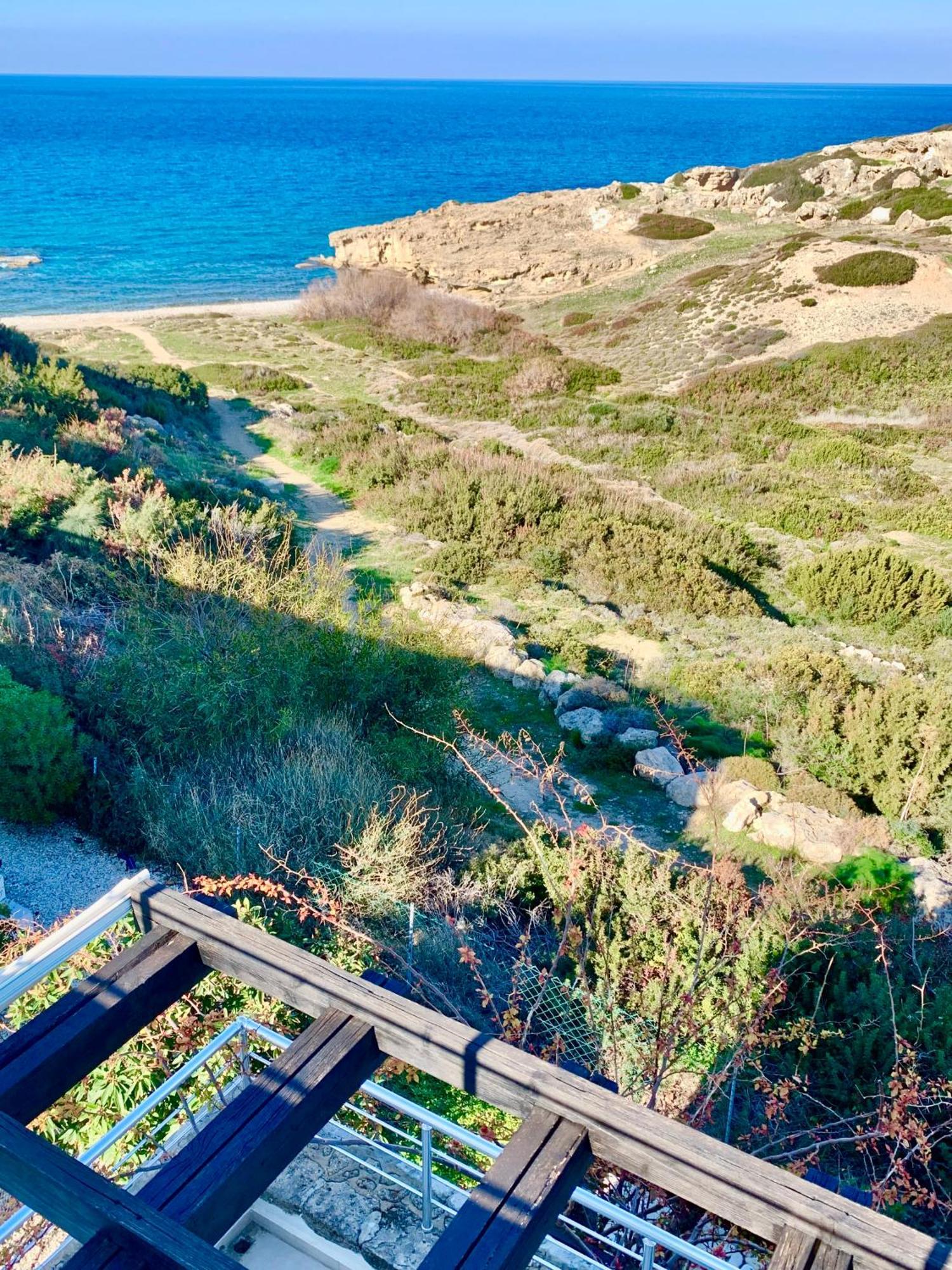 Boho Bay Akanthou