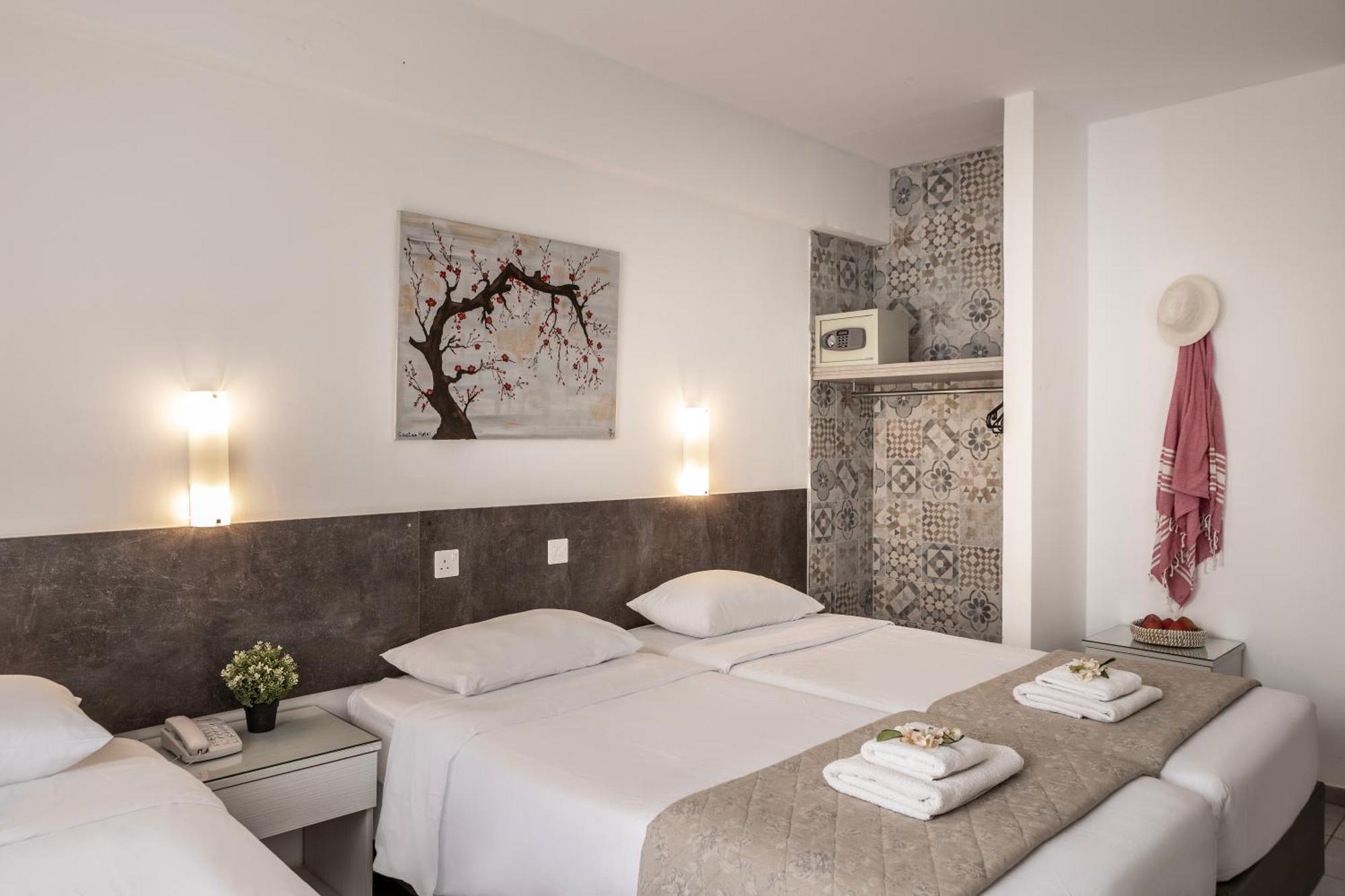 Cactus Larnaca