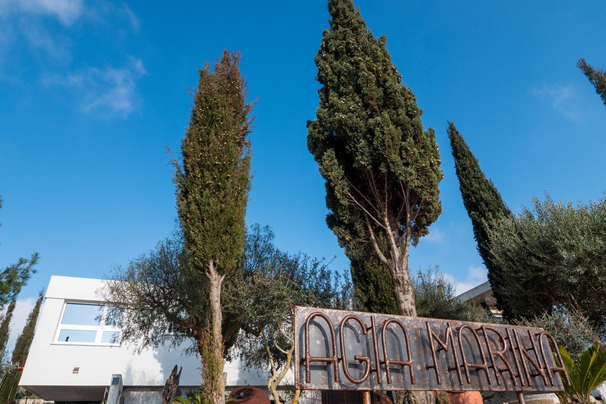 Ayia Marina Villa