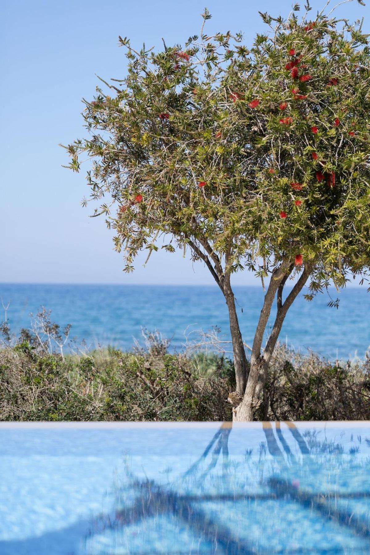 Kallisti & - A Luxury Seaside Retreat Villa