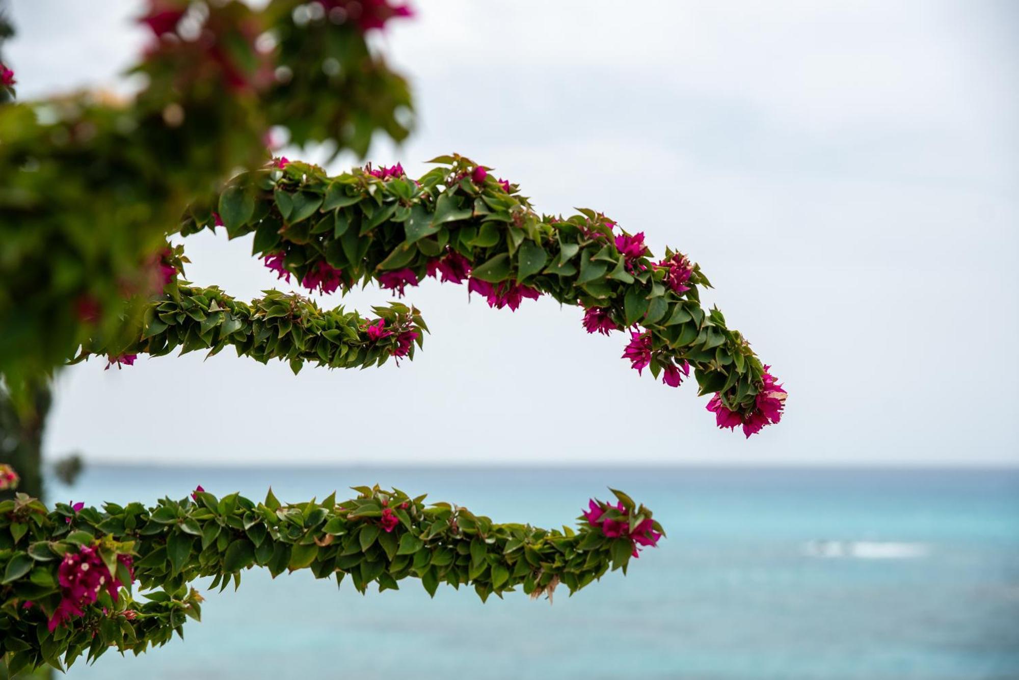Sea View In Coral Bay *
