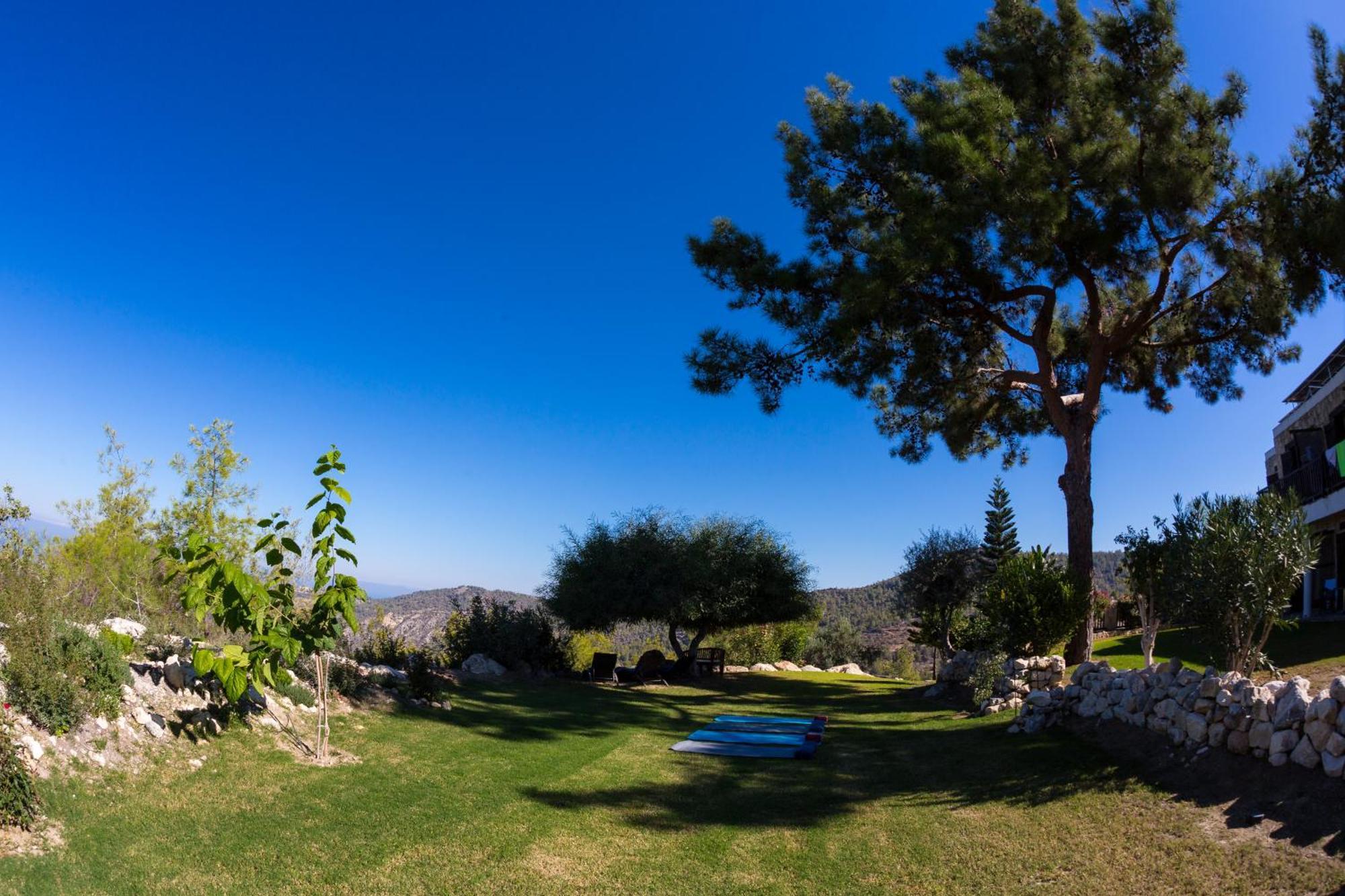 Demetriou Paradisos Hills 3* Lysos