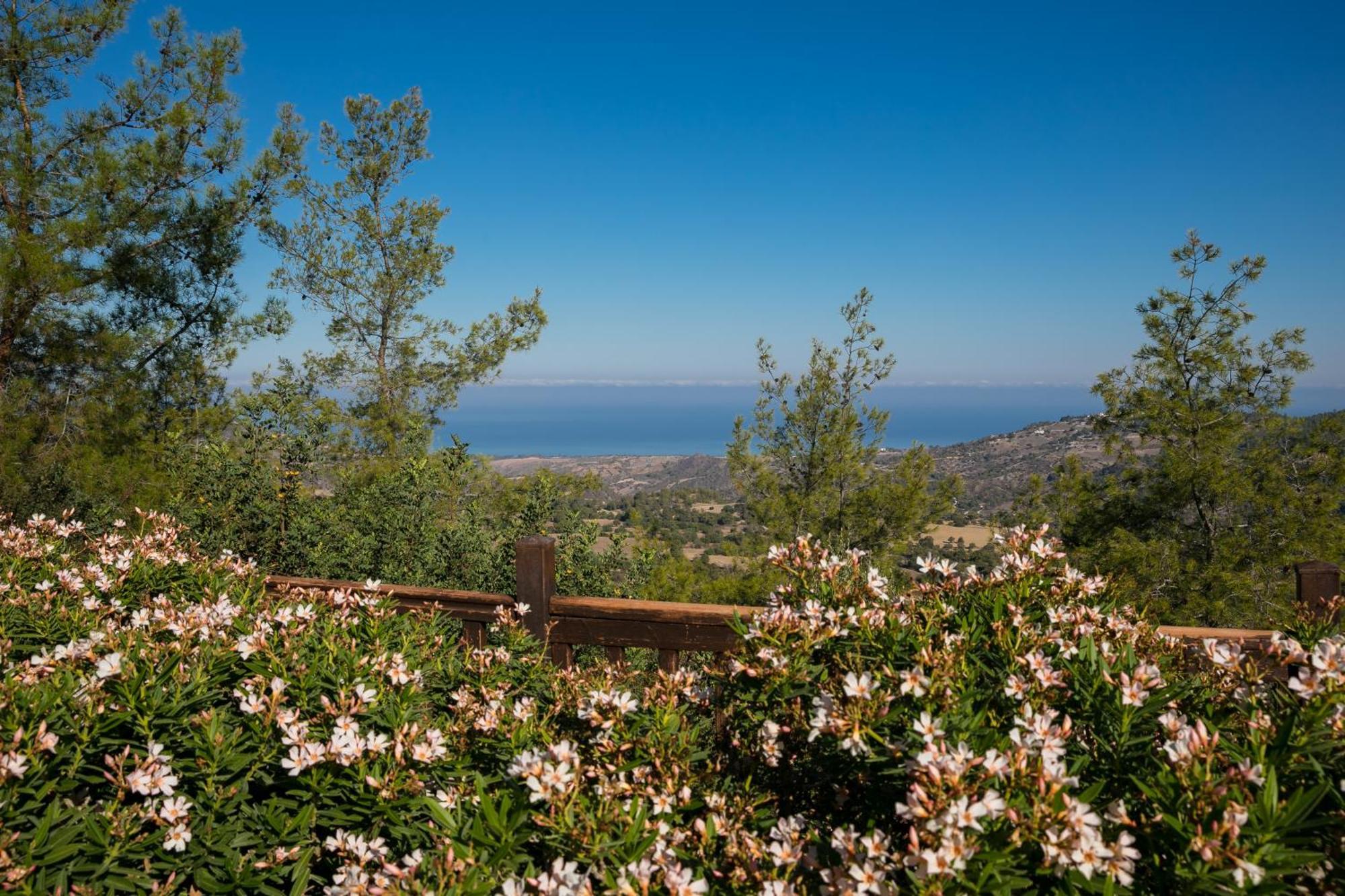 Demetriou Paradisos Hills Hotel 3*