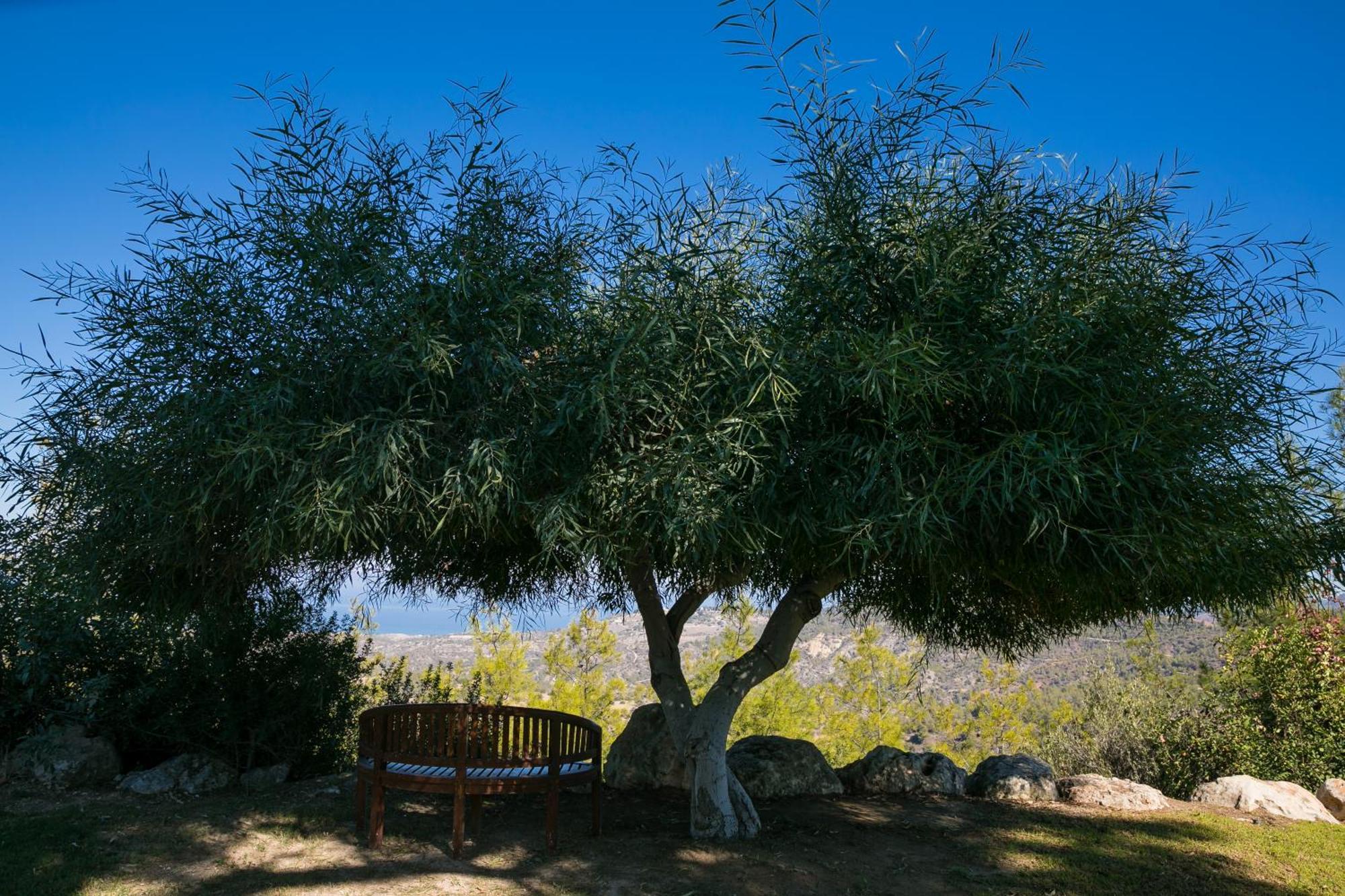 Demetriou Paradisos Hills 3* Lysos