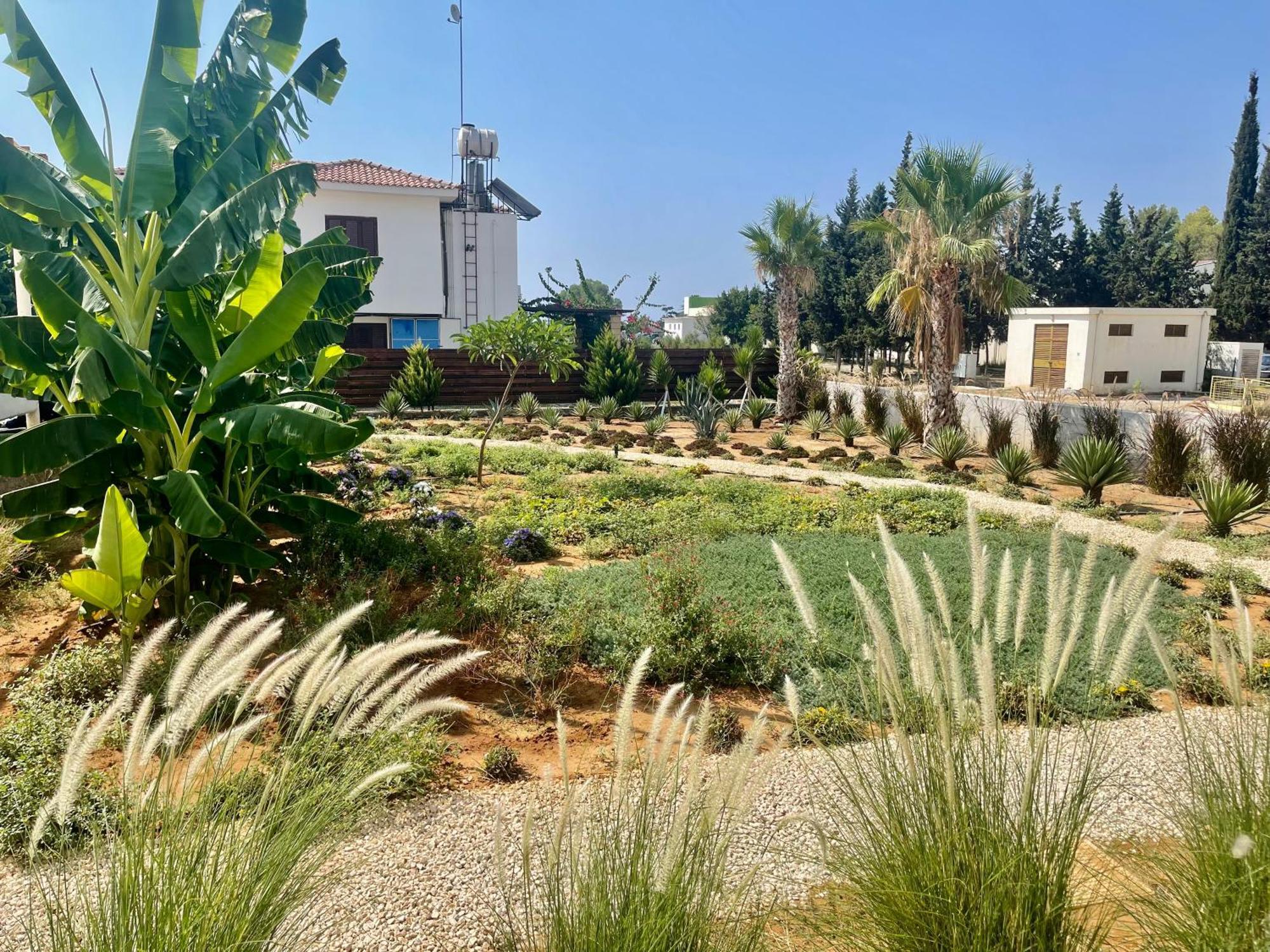 Apartment Sea View By The Coast Famagusta (Northern Cyprus)