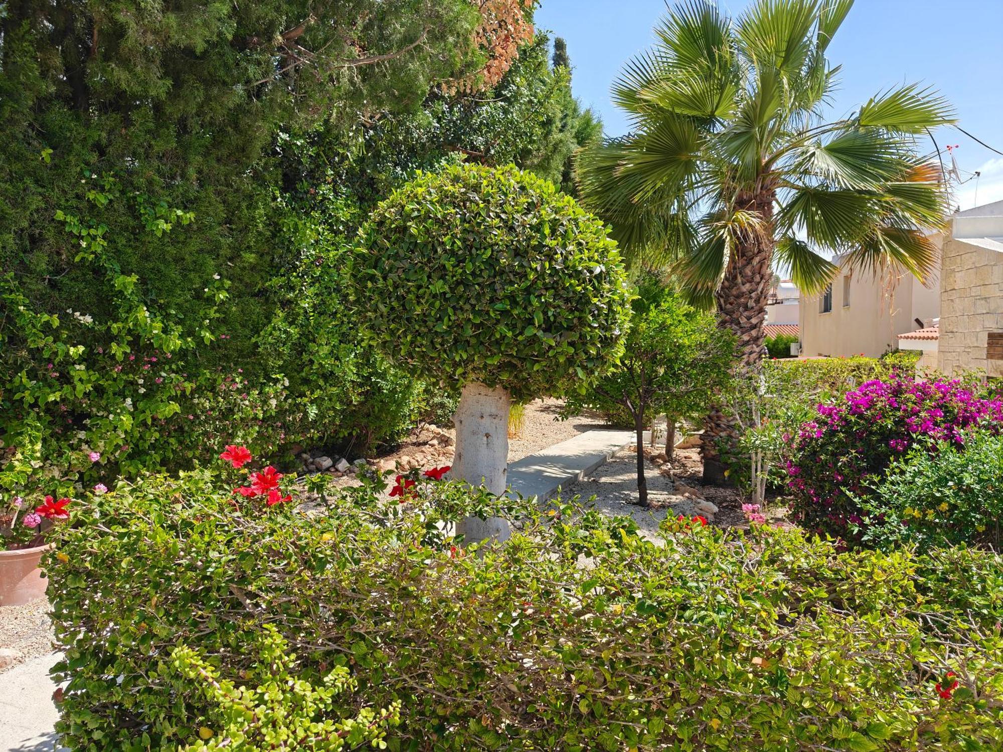 Holiday: Seafront Retreat With Pool In Paphos *