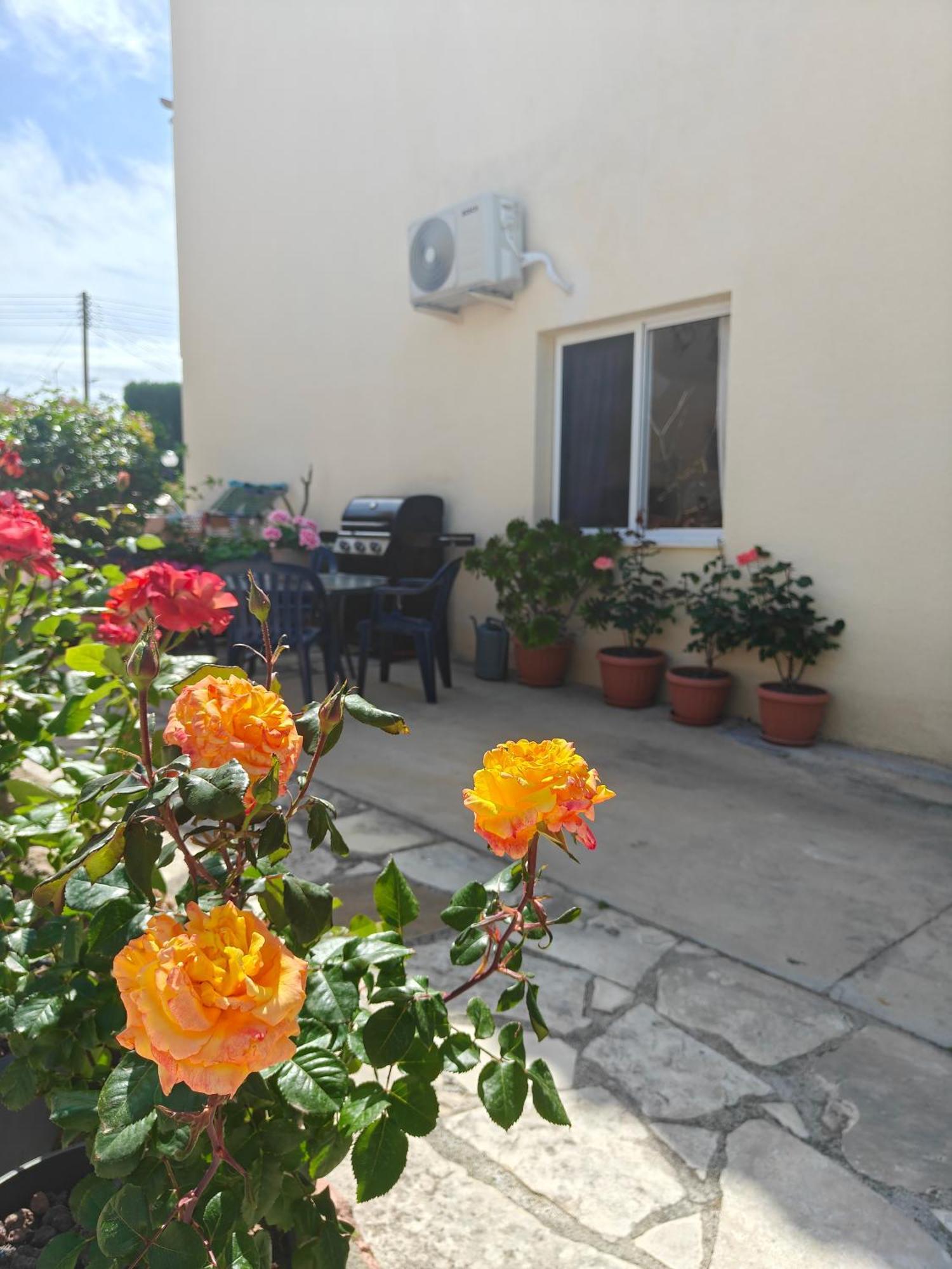 House In Eva Gardens With Pool&garden * Peyia