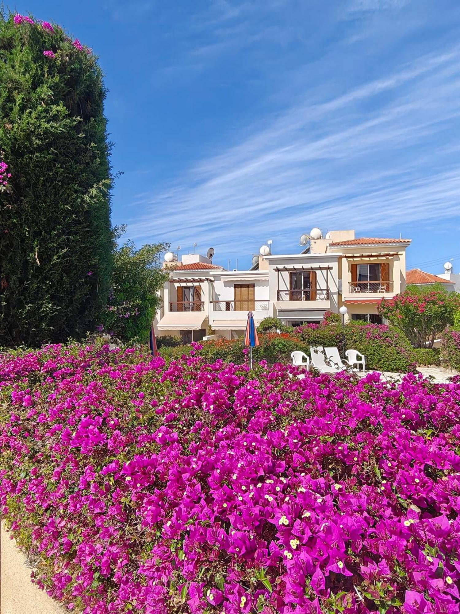Vakantiehuis House In Eva Gardens With Pool&garden