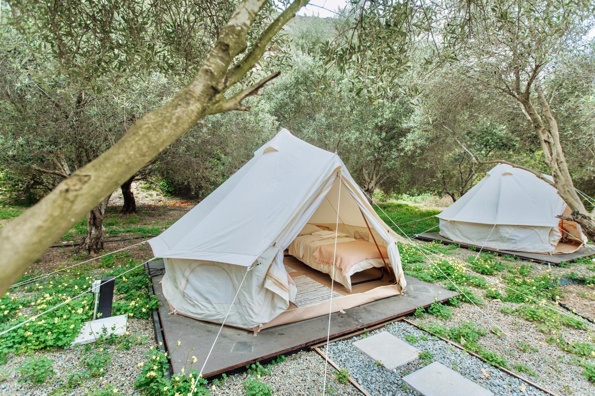 Lodge Geometry Park Agios Theodoros
