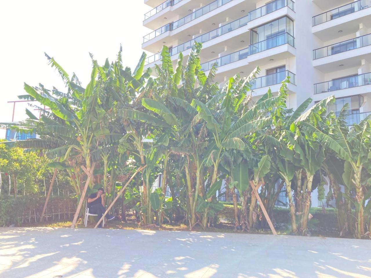 Azure Seaview In Priscilla, Caesar Blue & Spa, Gastria, Kalechik, Bogaz Apartment *