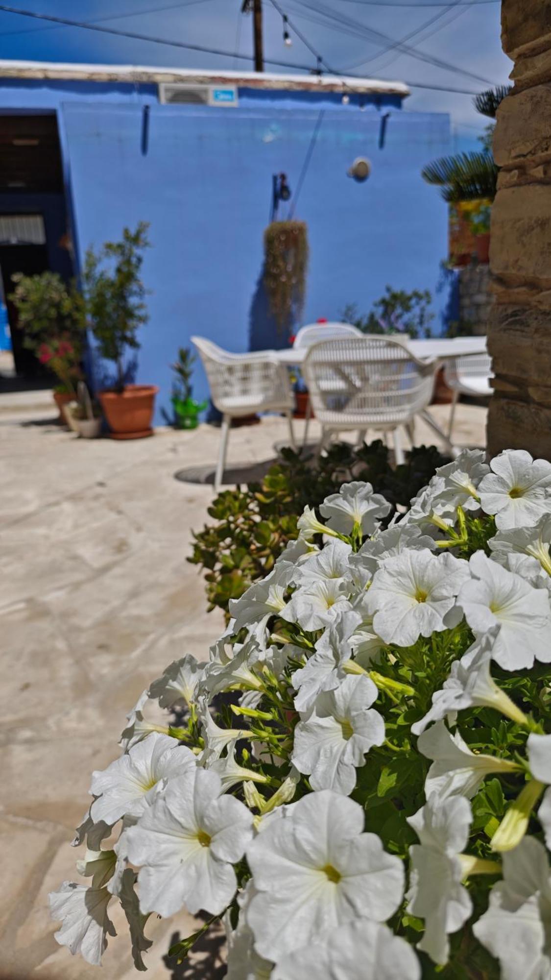 Kozakos Luxury House