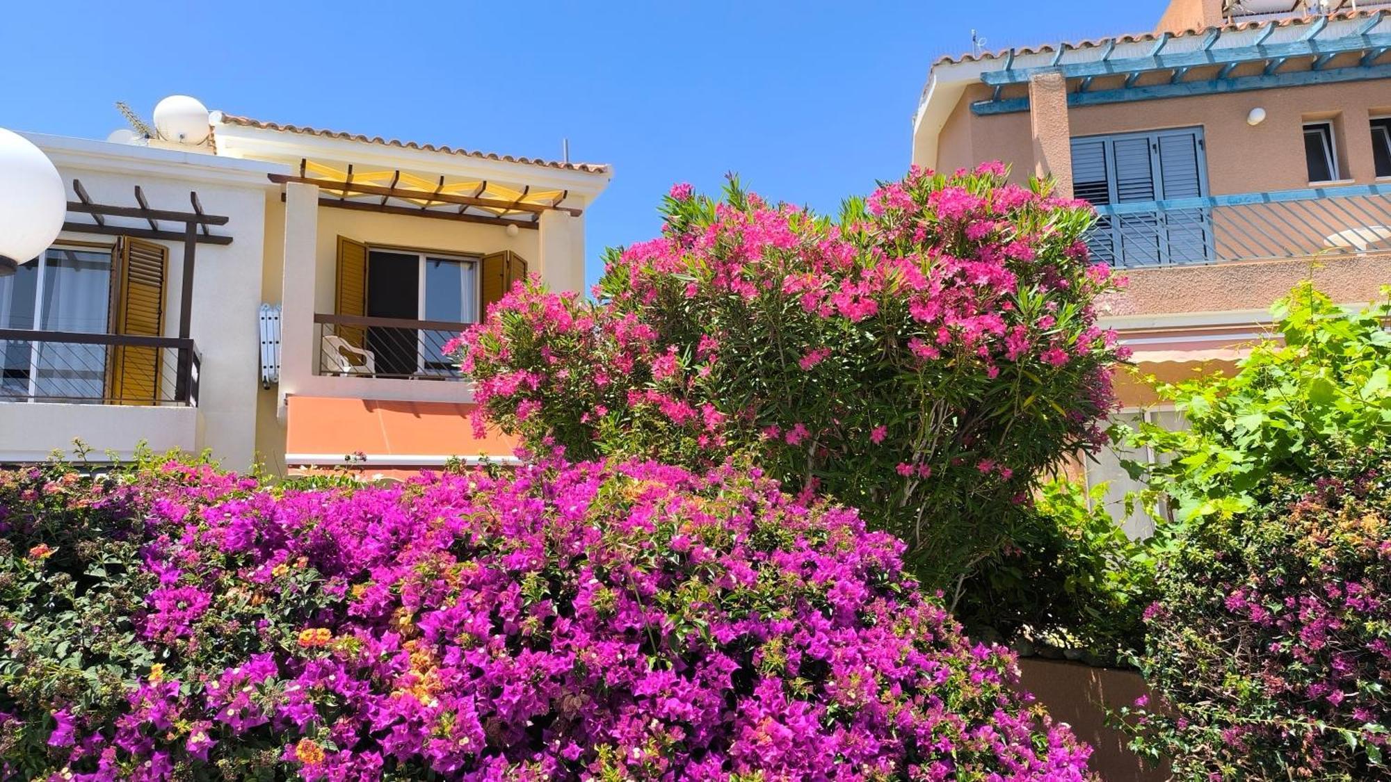 Eva Gardens Corner House With Stunning Garden And Huge Swimming Pool Next To Coral Bay Holiday home