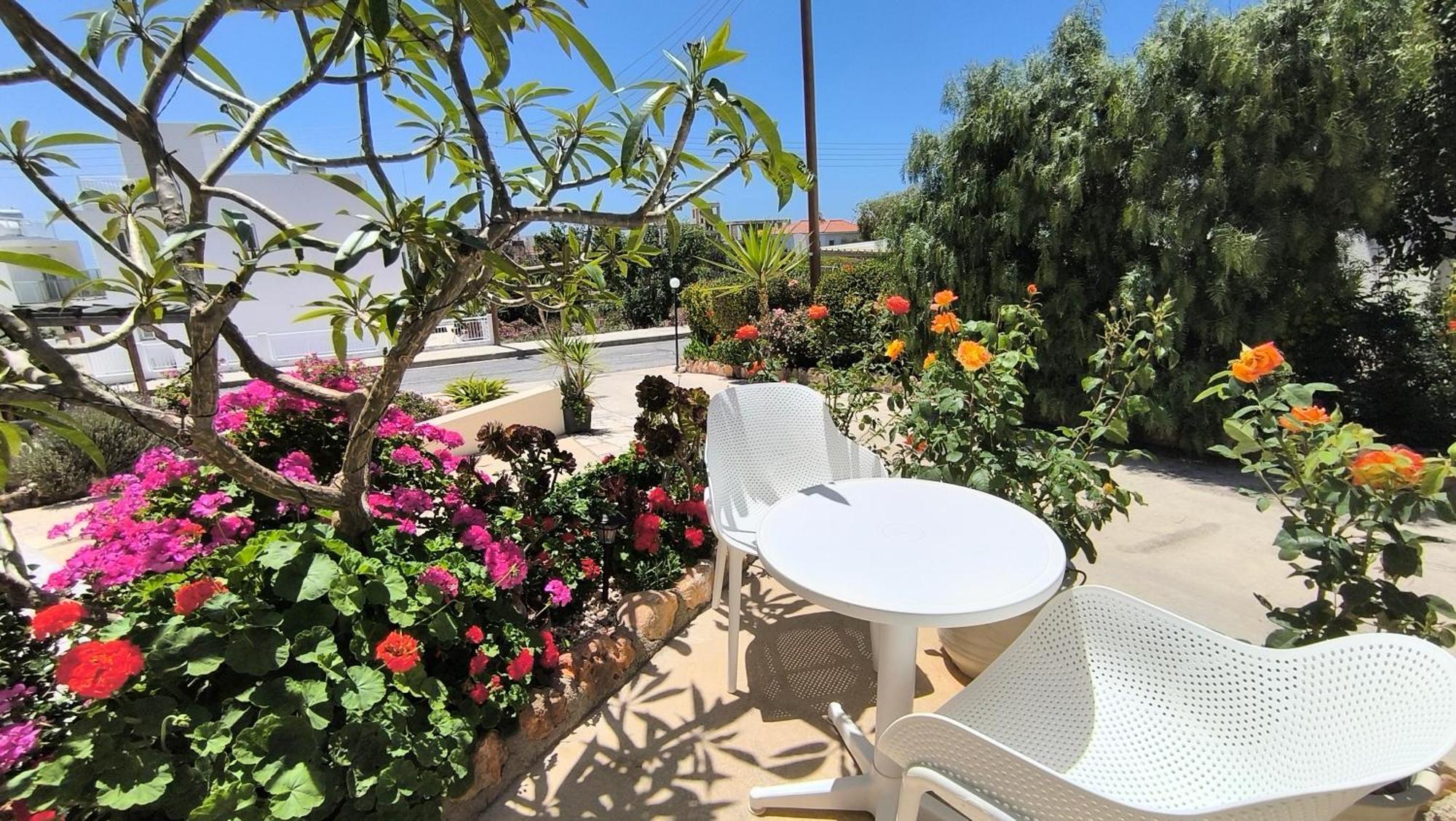 Eva Gardens Corner House With Stunning Garden And Huge Swimming Pool Next To Coral Bay * Peyia