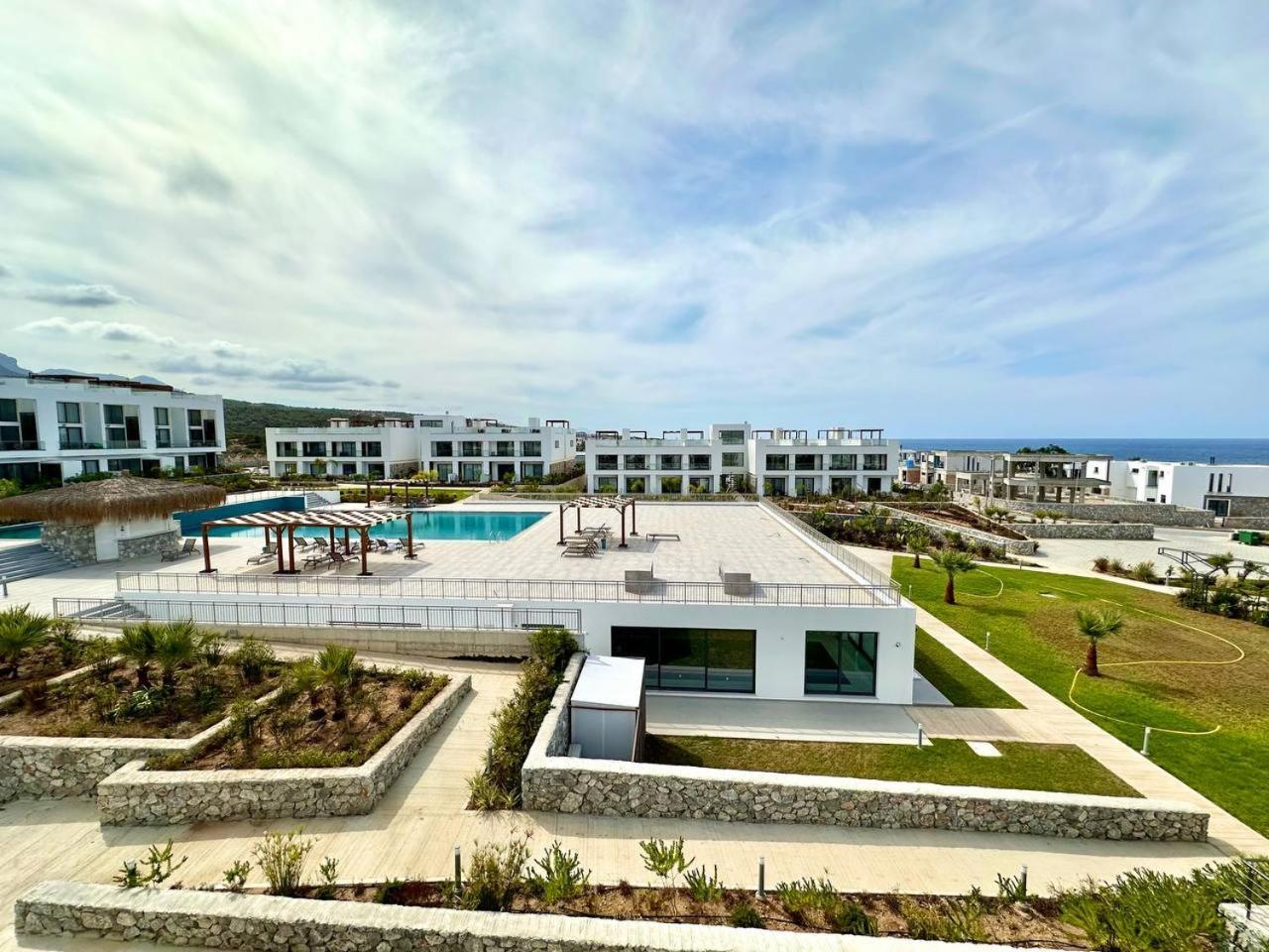 The Olive Beachfront & Appartement Kalogrea