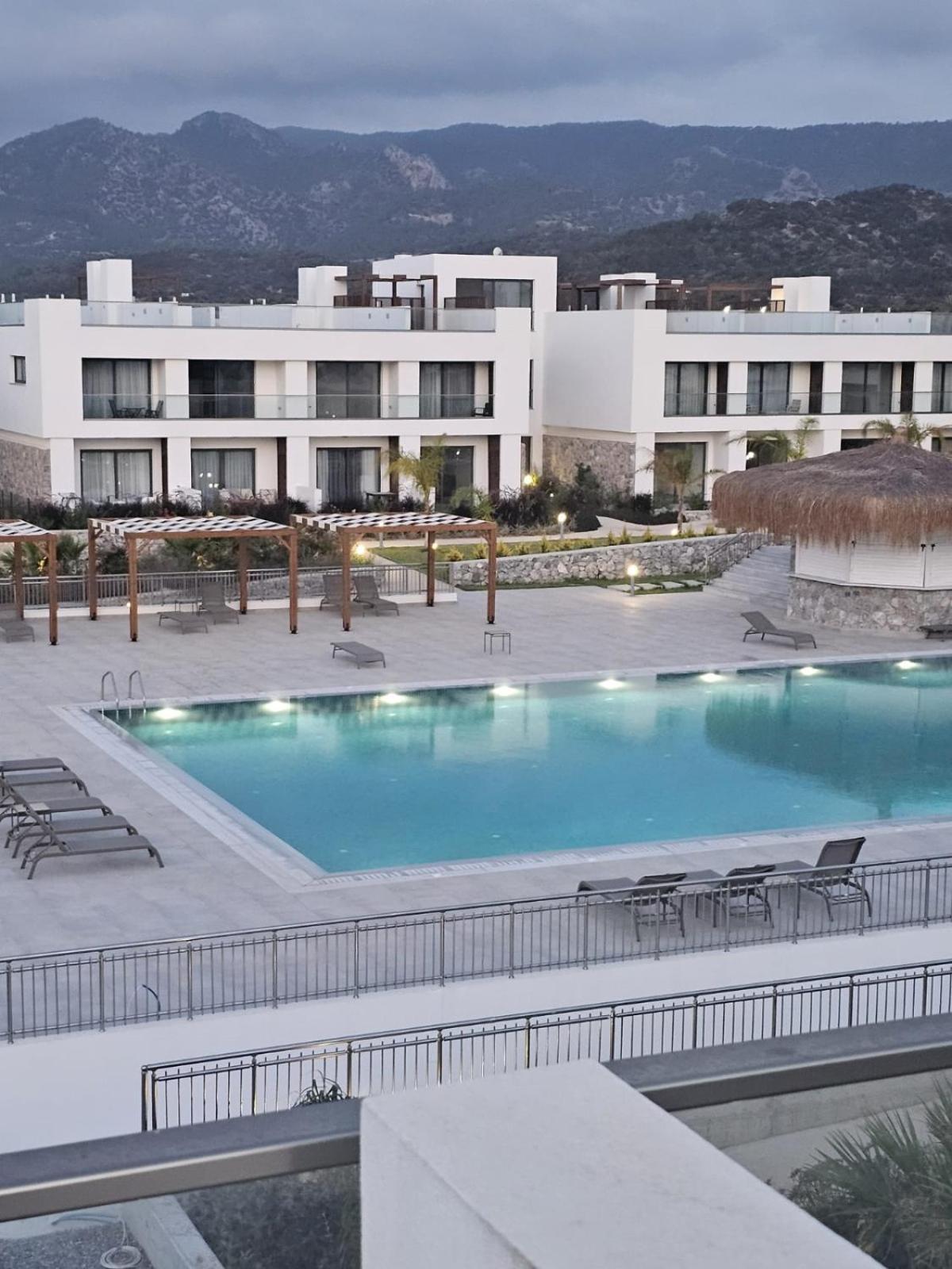 Apartment The Olive Beachfront & Kalogrea