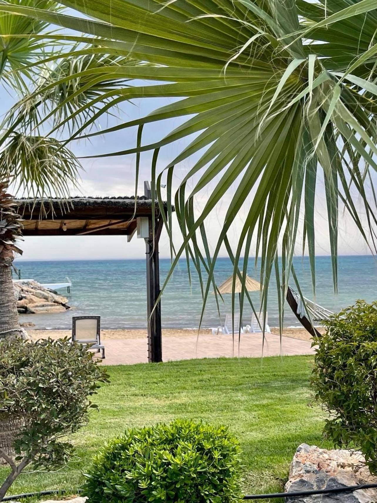Lightness By The Sea Famagusta (Northern Cyprus)